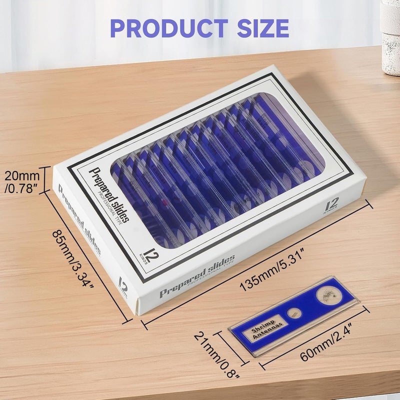 Jiusion 48Pcs Prepared Microscope Slides Specimen Animals Insects Plants Flowers Sample Biological Specimen, Stereo Microscope Slide for Kids Children Students Enlighten Education - Image 5